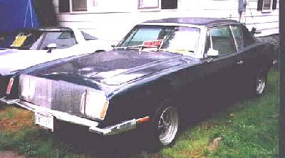 c498e.jpg