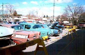 y9813.jpg