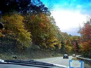 pa230033.jpg